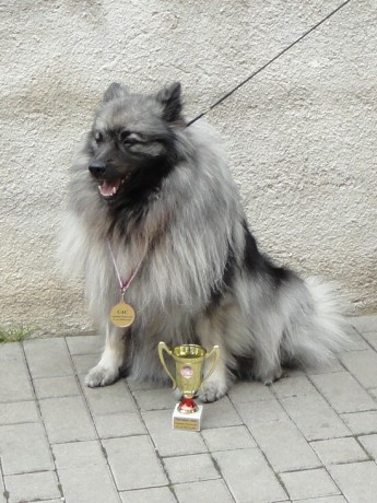 Alfička a trofeje z NV Klatovy 21.6.2015