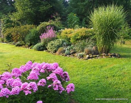 Floxy a pohled na záhon s keři a travinami a trvalkami