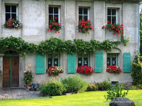 Pohled na dům s muškáty a surfinkami