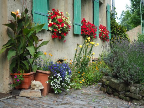 Truhlíky se surfínkami