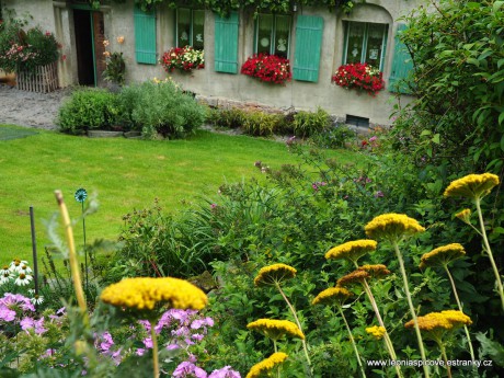 Řebříček žlutý a pohled na dům