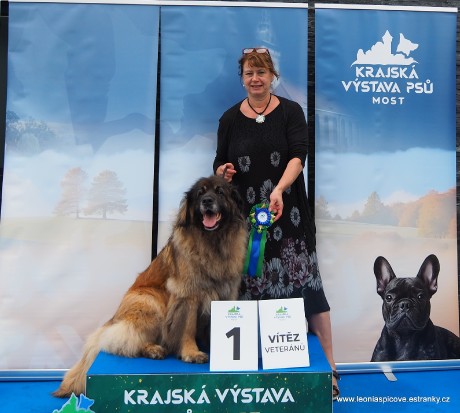 Berenica Bella z Penzionu Axa - výstava Most