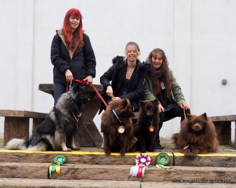 TRIO CACIB PRAHA 12.1.2025