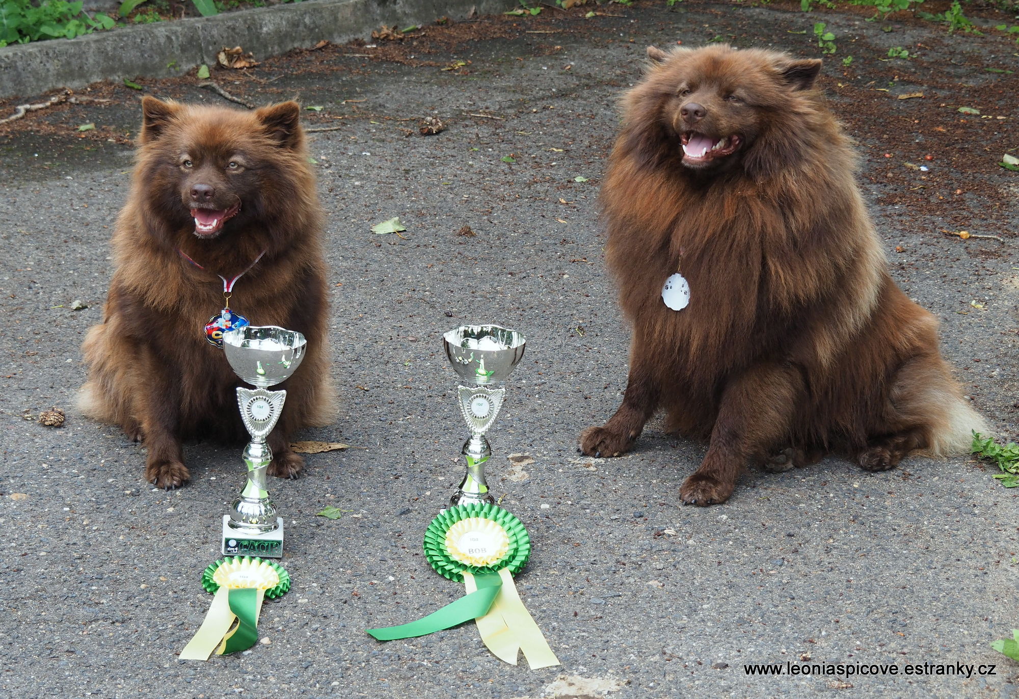 Lucky a Lisien 26.5.2024 MVP Litoměřice