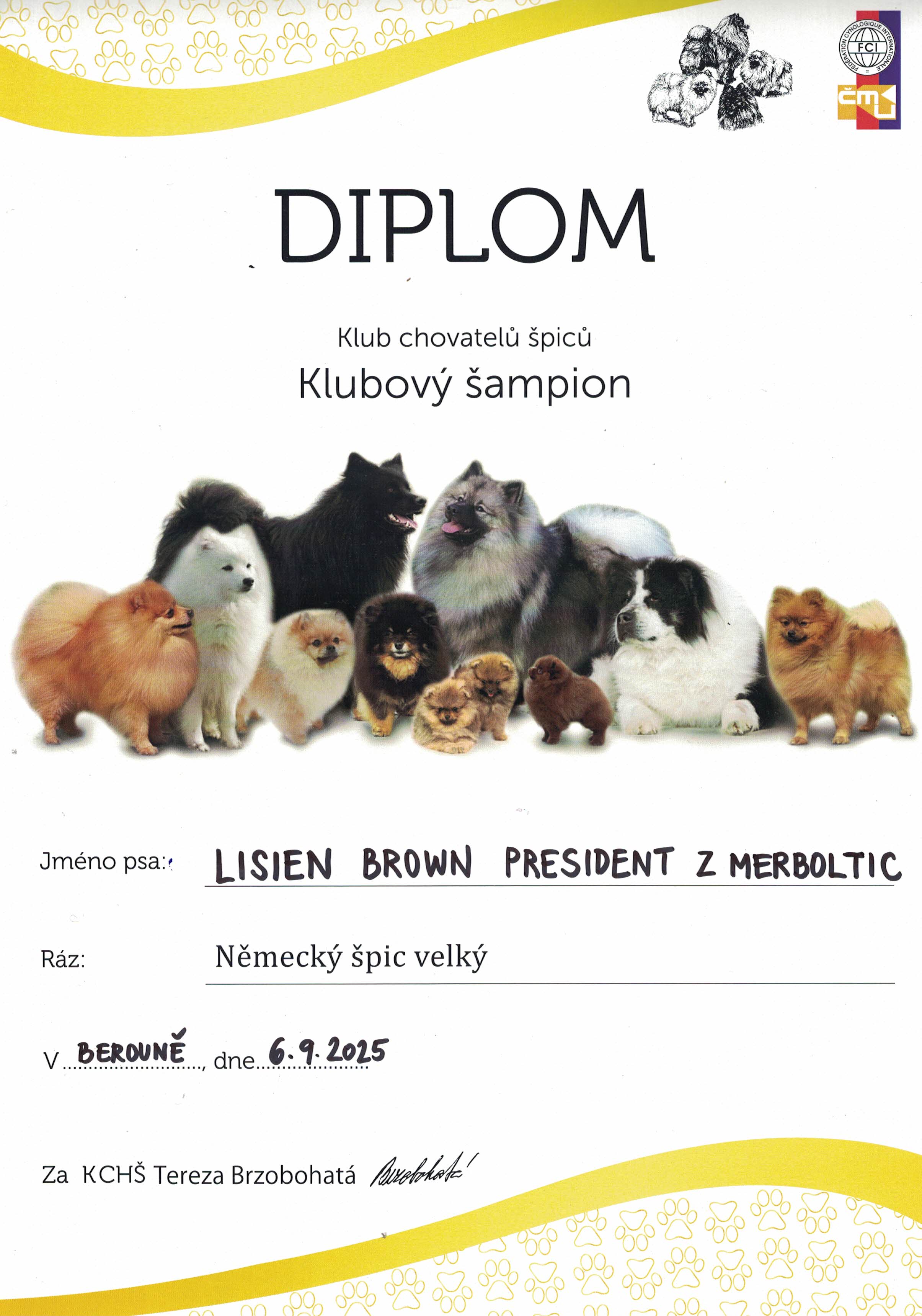 LISIEN BROWN - KLUBOVÝ ŠAMPION