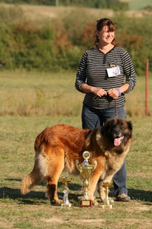 adelaida-z-bechlina----kv-kchl-ostruzno-12.9.2015.jpg