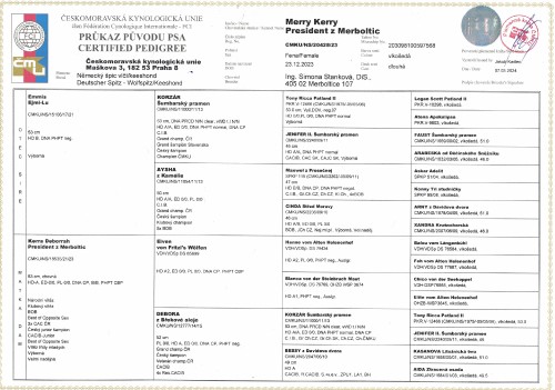 prukaz-puvodu-vrh-m-kerry-a-emmis16032024.jpg
