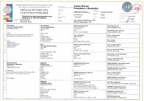 lisien-brown-president-z-merboltic-pp--1.-cast-preregistrace09032024.jpg