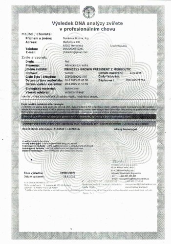 1-oca2-princess-brown-president-z-merboltic---prukaz-puvodu-2.-cast29082025.jpg